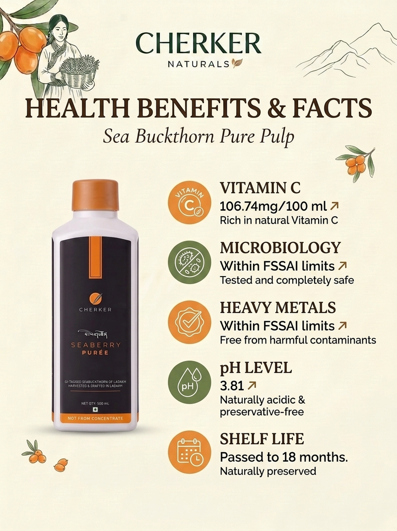 A promotional infographic for Cherker Naturals Sea Buckthorn Pure Pulp, showing a bottle of the product on the left and key health benefits and facts on the right against a light cream background with botanical illustrations.